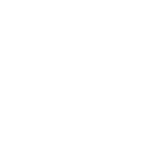 SchoolPhins Logo